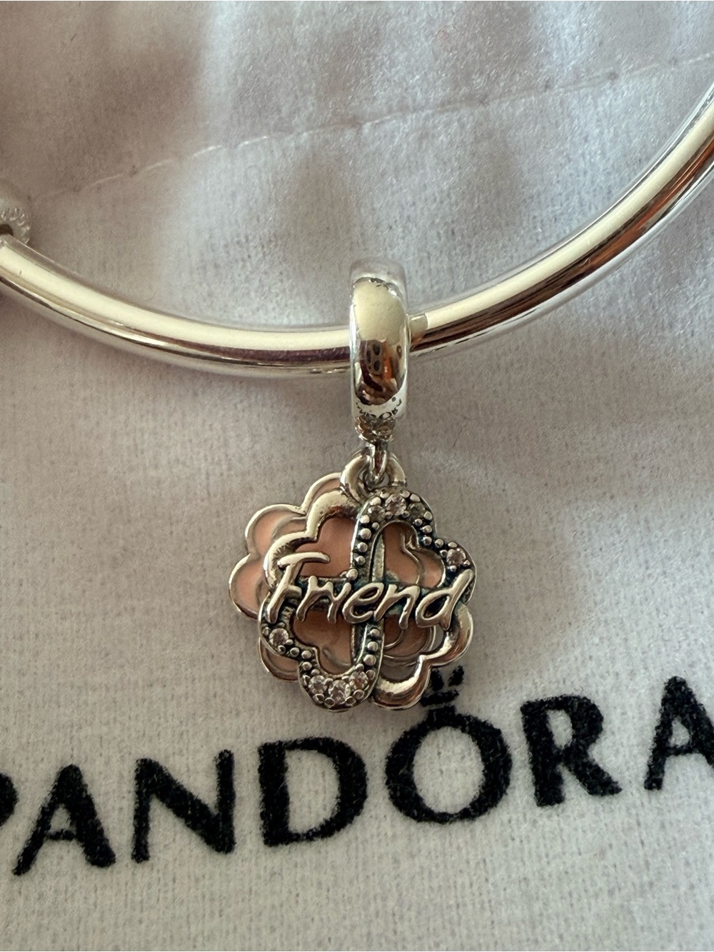Pandora Silver 'Friend' Floral Heart Dangle Charm in Pink and Silver